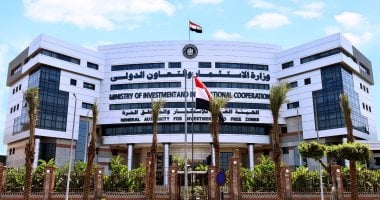 صورة الخبر
